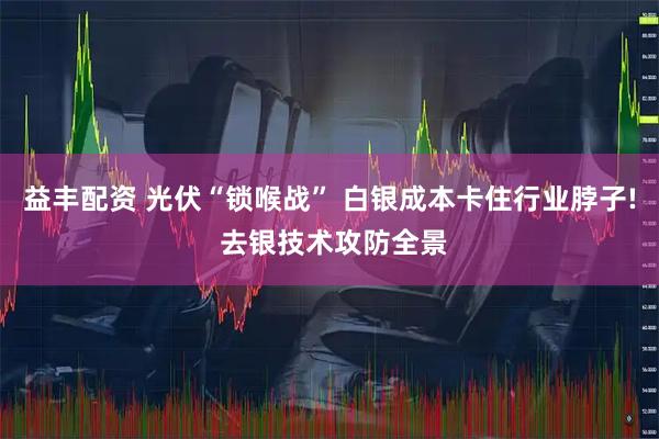 益丰配资 光伏“锁喉战” 白银成本卡住行业脖子! 去银技术攻防全景