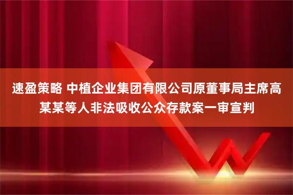 速盈策略 中植企业集团有限公司原董事局主席高某某等人非法吸收公众存款案一审宣判